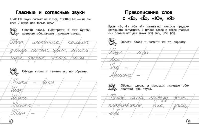 Правила по русскому языку: для начальной школы. 1 - 4 классы