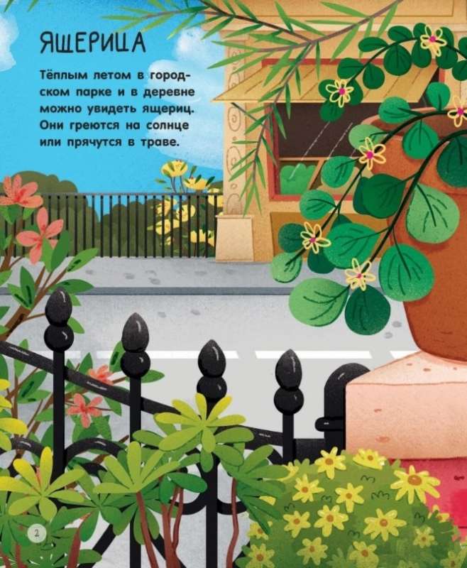 Pilsētas dzīvnieki