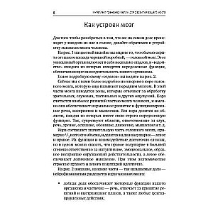 Intelekta trenažieris Kelli jūsu smadzeņu attīstībai. Nodarbību programma intelekta, atmiņas un uzmanības uzlabošanai