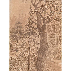 Zilā putna (ilustrācijas Anastasijas Basjubinas)