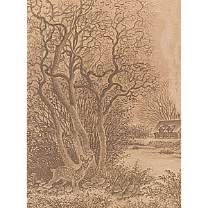 Zilā putna (ilustrācijas Anastasijas Basjubinas)