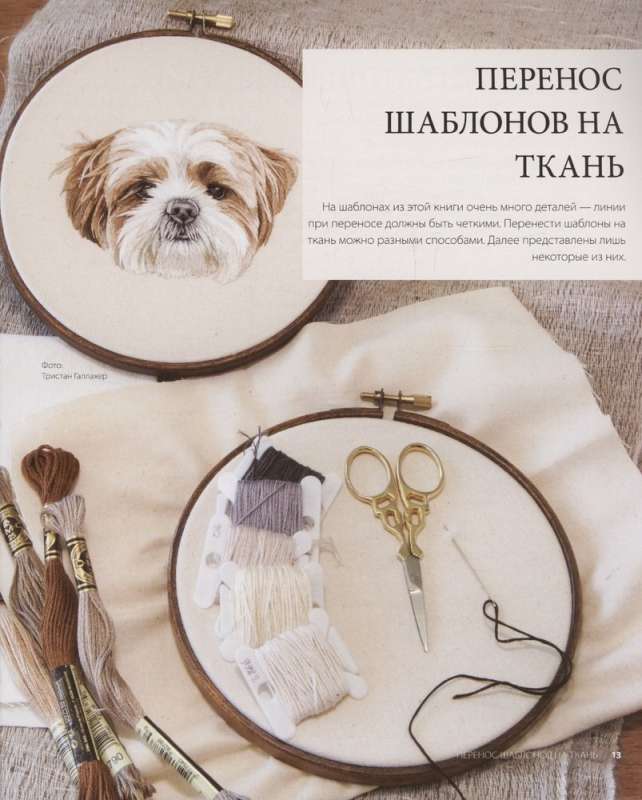 Tā gribas paglaudīt! Izšujam portretu pēc fotogrāfijas