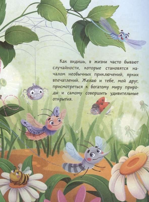 Noslēpumainā kukaiņu dzīve