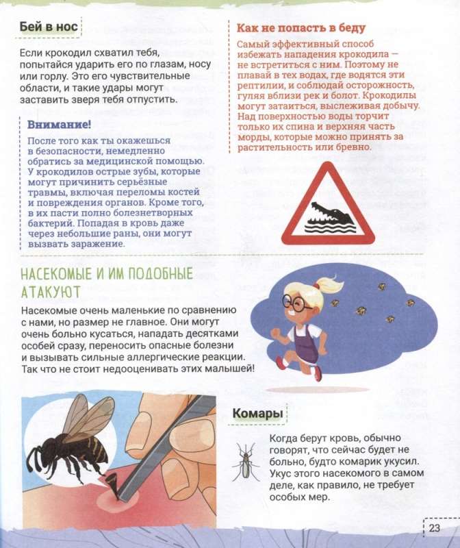 Kā izdzīvot jebko! Lāča uzbrukums un citas bīstamas situācijas: zibens, sniega vētra