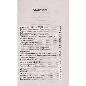 Виноград, малина, смородина. Богатый урожай любимых ягод в саду