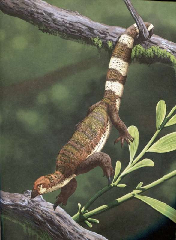 Dinozauri. Ceļojums pagātnē