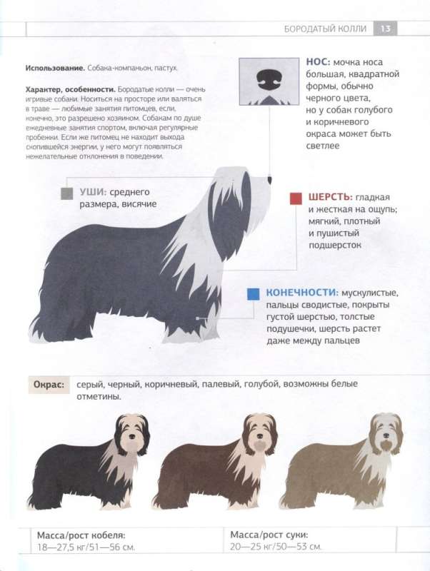 Определитель собак. Физические характеристики и особеннности породы