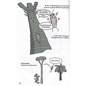 Fantastiska kukaiņu evolūcija