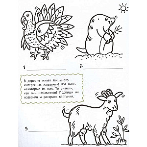 Mīļākie dzīvnieki. Apjomīgas krāsojamās grāmatas
