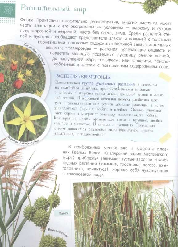 Sarkanā grāmata. Krievijas dabas rezervāti. Dzīvnieki un augi