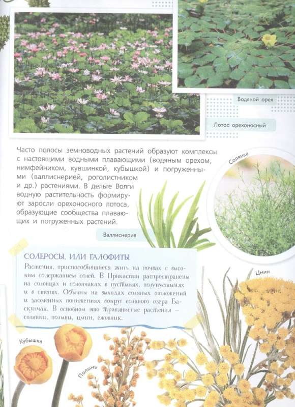 Sarkanā grāmata. Krievijas dabas rezervāti. Dzīvnieki un augi