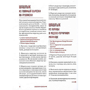 Kebabi. Tehnika un gatavošanas noslēpumi. 60 receptes šašliku, döner kebabu, lula kebabu