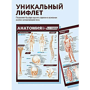 Anatomija. Viskompaktākā anatomiskā tabula