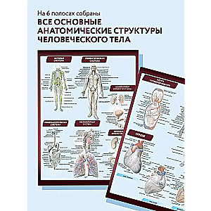 Anatomija. Viskompaktākā anatomiskā tabula