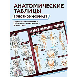 Anatomija. Viskompaktākā anatomiskā tabula