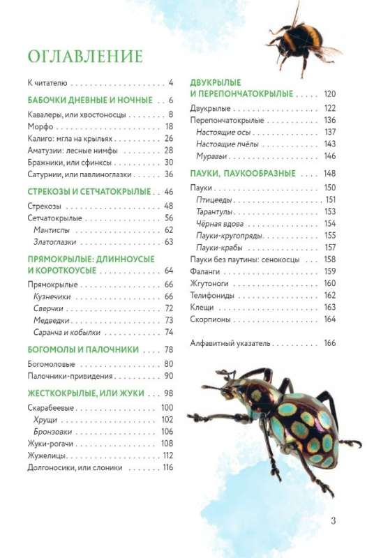 Kļūdas pasaulē. Bērnu enciklopēdija