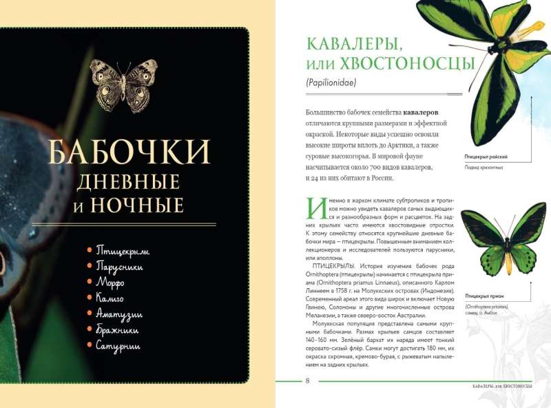 Kļūdas pasaulē. Bērnu enciklopēdija
