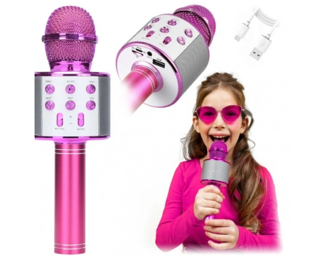 Bērnu rotaļlieta - rokas mikrafons, karaoke, mix