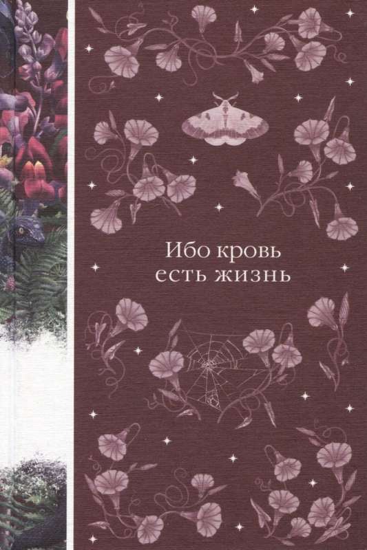 Komplekts: Vampīru balle no 3 grāmatām: Drakula, Karmila, Jo asinis ir dzīvība