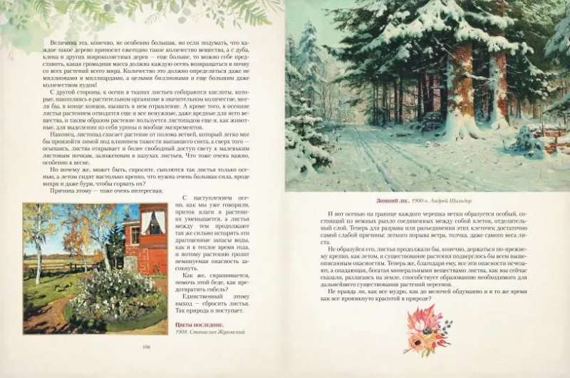 Дары русского леса. Грибы ягоды и целительные растения