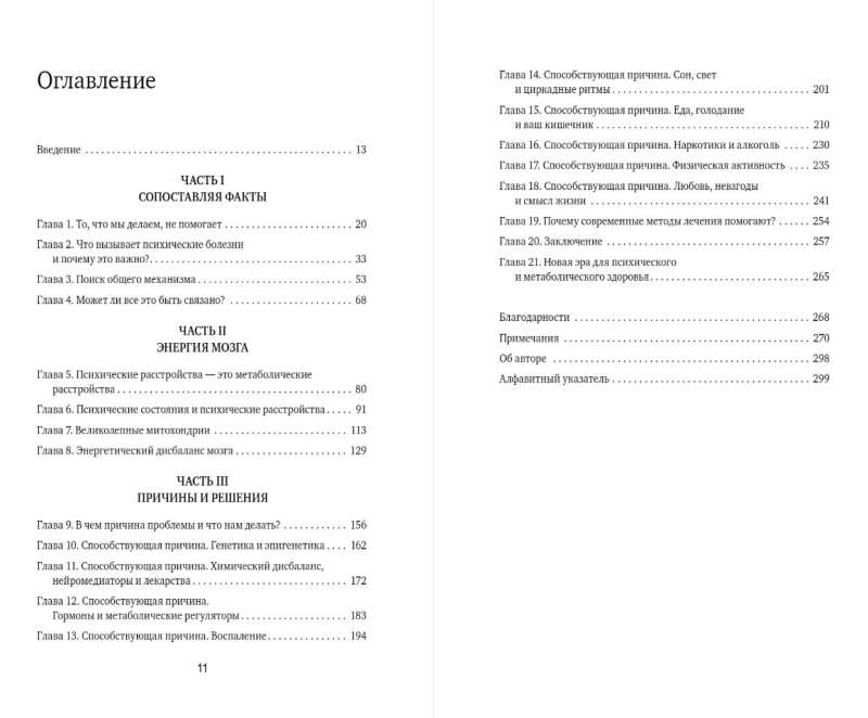 Smadzeņu enerģija. Teorija par visu psihisko slimību attīstību, kas izskaidro to kopējo cēloni