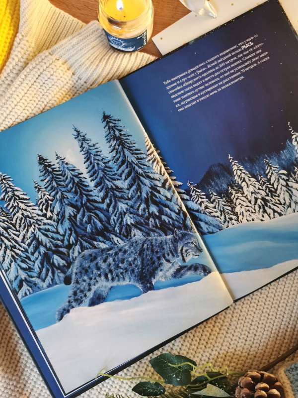 Vai visi guļ naktī? Apburošas ilustrācijas un pārsteidzoši fakti par nakts dzīvo dabu