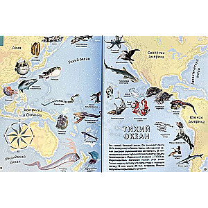 Jūras un okeāni. Ilustrēts atlants