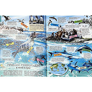 Jūras un okeāni. Ilustrēts atlants