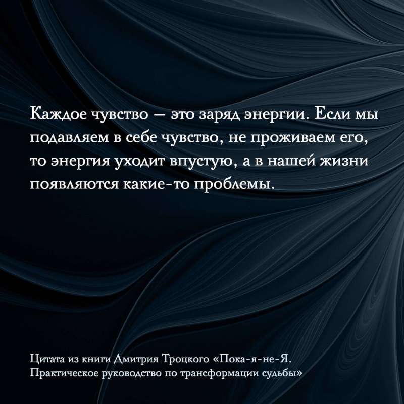 Пока-я-не-Я. Практическое руководство по трансформации судьбы. Подарочное издание