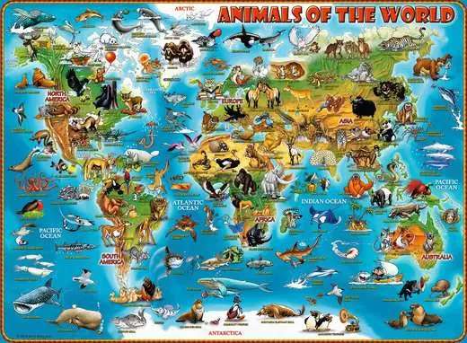  Puzle 300 Dzīvnieku pasaule