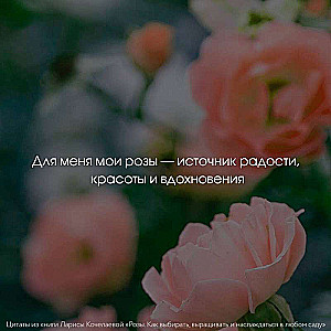 Розы. Как выбирать, выращивать и наслаждаться в любом саду