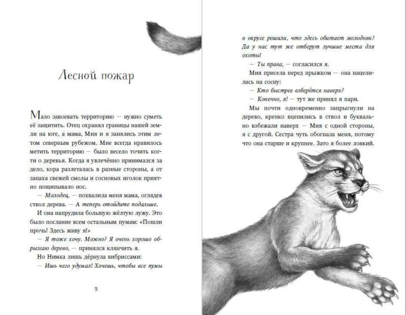 Bērni mežā. Grāmatas 4-6. Komplekts ar plakātu