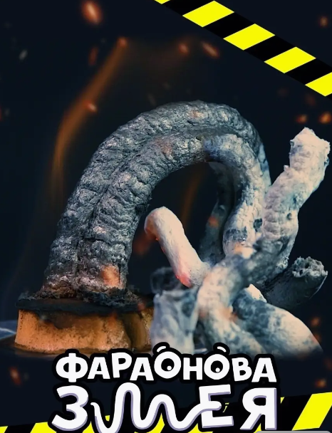 Eksperimentu komplekts - Re-Aģenti. Faraona čūska