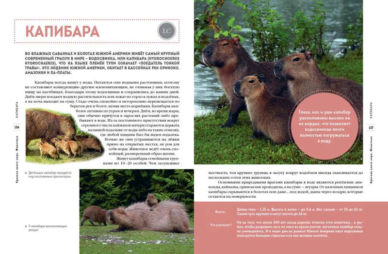 Sarkanais grāmata pasaulē. Dzīvnieki