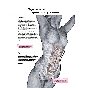 Anatomija preses