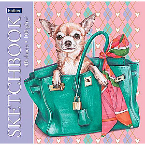 Premium Bloknotu SketchBook 40l A5f 165x165mm