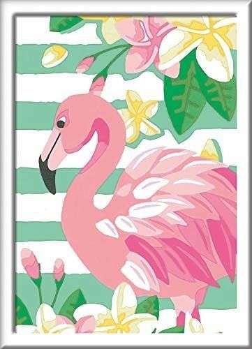 Gleznas pēc numuriem  13X18cm Flamingo