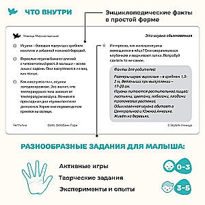 Мир на ладошке. Развивающие карточки и развивающие игры для детей. Рептилии