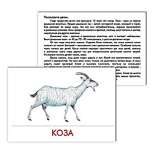 Didaktiskās kartītes - Mājdzīvnieki