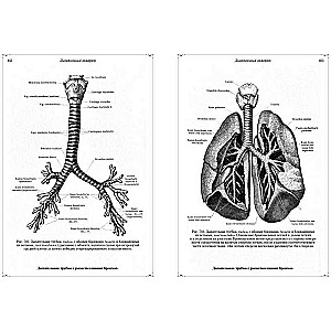 Anatomiskais atlants