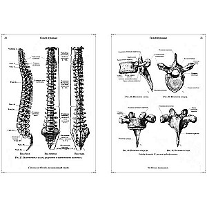 Anatomiskais atlants