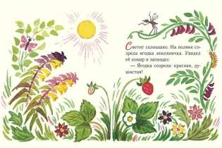 Земляничка. Странички-невелички