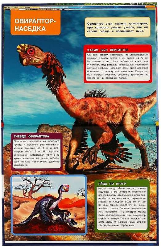 Динозавры. Мамы и малыши. Энциклопедия А4 с развивающими заданиями
