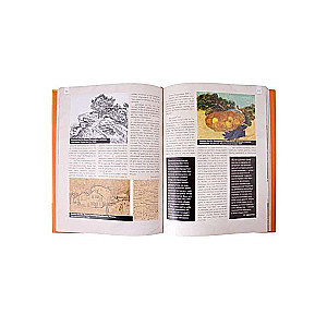 Van Gogs: mīļākās gleznas futlāris