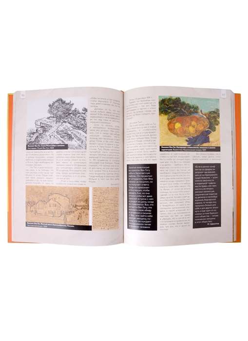 Van Gogs: mīļākās gleznas futlāris
