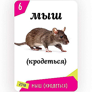 Galda spēle - Memonomika
