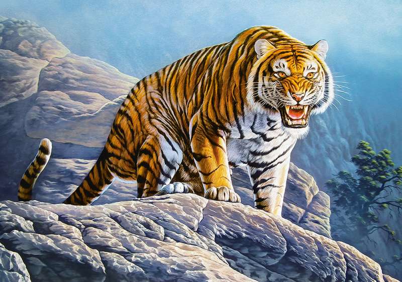 Puzle Tiger on the Rocks 500 detaļas.