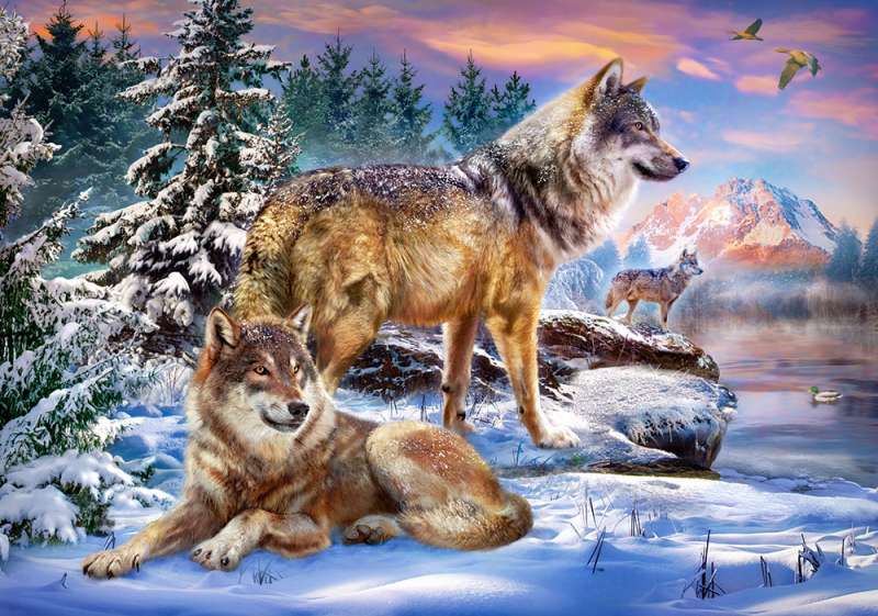 Puzle Wolfish Wonderland 500 gab.