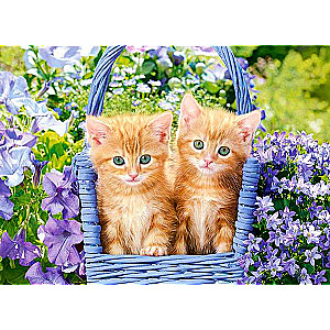 Puzle Ginger Kittens 70 gab.