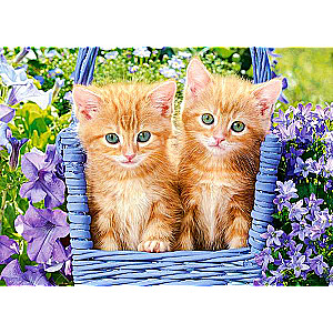 Puzle Ginger Kittens 60 gab.